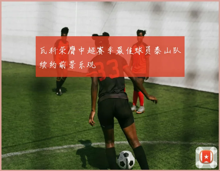 瓦科荣膺中超赛季最佳球员泰山队续约前景乐观
